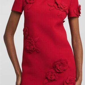 Private Label Scarlet Rose Mini Dress
